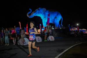 BIB: 
                            <button type="button" onclick="openModal(26551878)" class="btn btn-primary btn-sm float-right btn-popup" data-toggle="modal" data-target=".modal-high-quality">
                        <i class="fas fa-shopping-cart"></i> Add to Cart
                    </button>
                                            <button type="button" onclick="isThisMe(26551878, true)" class="btn btn-success btn-sm float-right btn-popup btn-isme hidden" data-toggle="tooltip" data-placement="bottom" title="นี่คือรูปของคุณใช่ไหม คลิกที่นี่เพื่อเอาเข้าอัลบั้ม">
                        <i class="fas fa-plus"></i> Add to album
                    </button>
                    <button type="button" onclick="isThisMe(26551878, false)" class="btn btn-warning btn-sm float-right btn-popup btn-isnotme hidden">
                        <i class="fas fa-ban"></i> Remove from album
                    </button>